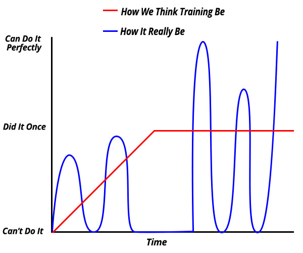 Existing Skill Refinement